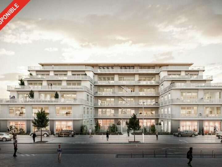 Location bureaux 239 m² non divisibles