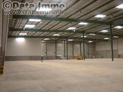 Location entrepôts 6152 m² non divisibles