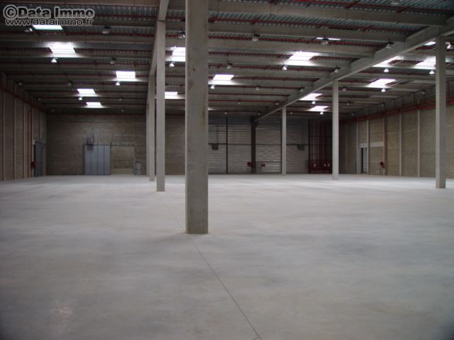 Location entrepôts 10404 m² non divisibles