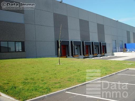 Location entrepôts 15241 m² non divisibles