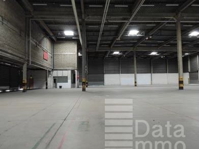 Location entrepôts 4531 m² non divisibles