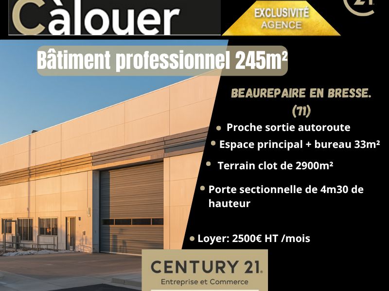 Location local 245.00 m² à BEAUREPAIRE EN BRESSE