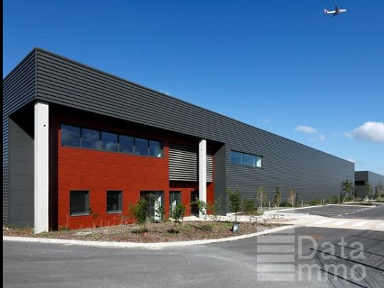 Location entrepôts 1247 m² non divisibles