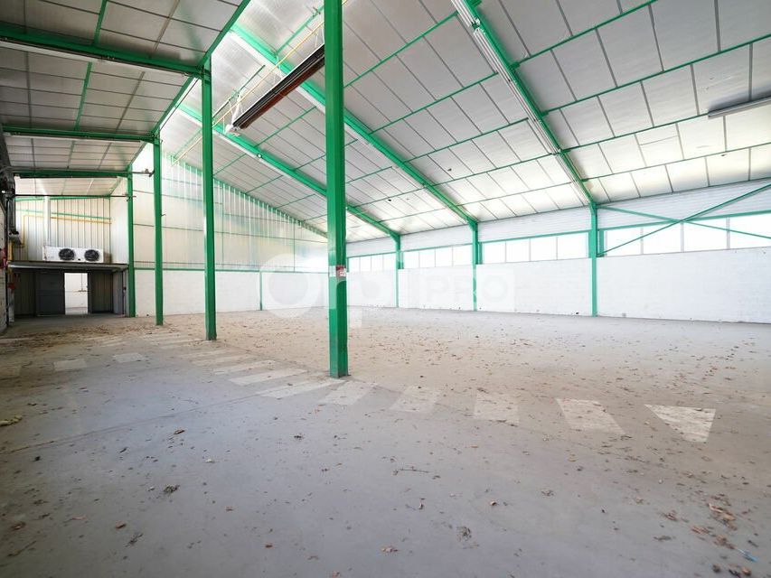CELLULES D'ACTIVITE A LOUER - 1 370 m² DIVISIBLE - MORNANT