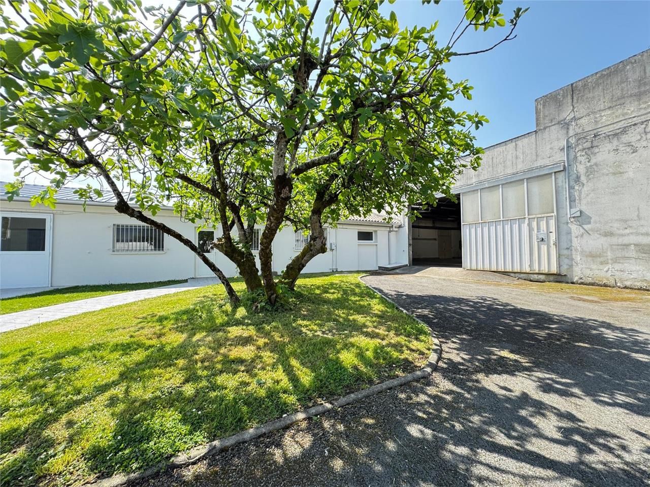 Vente local 275 m² à Latresne