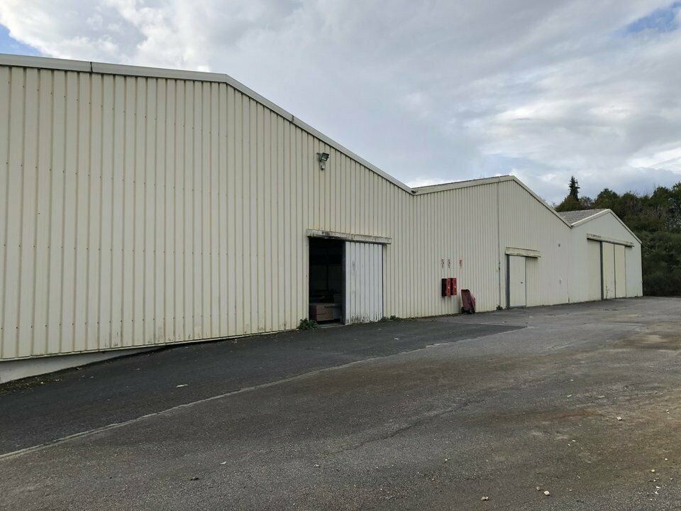 Entrepôt de 10 500 m² à louer - Châtellerault (86)