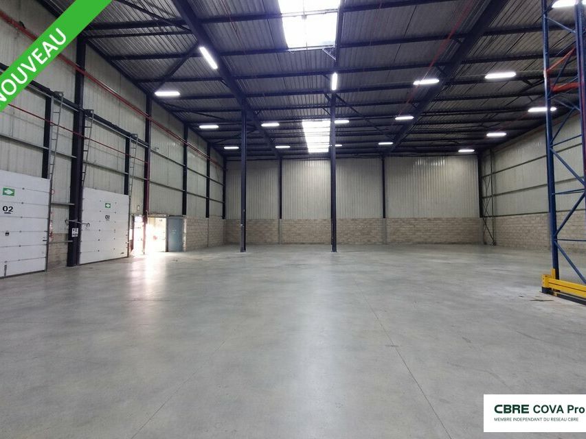 Vente entrepot 11700 m² non divisibles