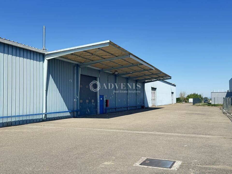 Vente local d''activites 2135 m² divisibles à partir de 1000 m²
