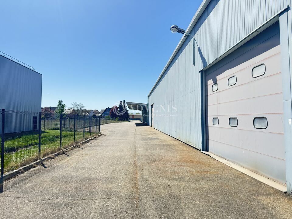 Bâtiment d'activité indépendant à vendre - Parc d'activités - Duppigheim