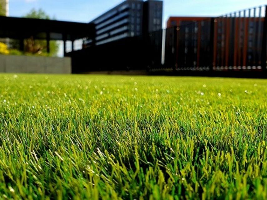 Vente terrain 40520 m² divisibles à partir de 2758 m²
