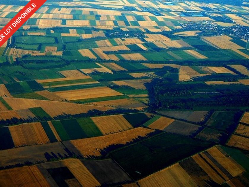 Vente terrain 50000 m² divisibles à partir de 15000 m²