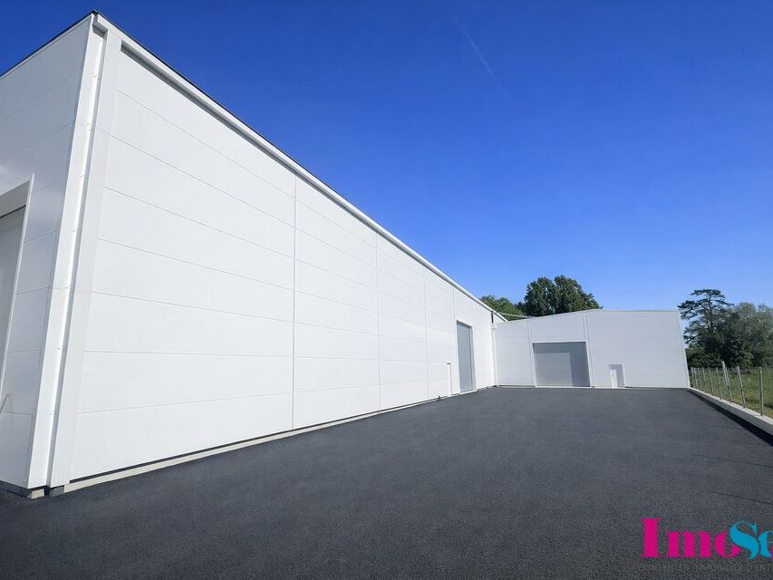 Location entrepot 550 m² non divisibles