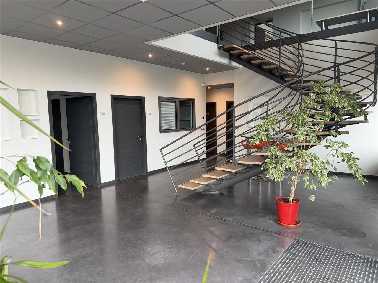 600 m² dispo à Colomiers