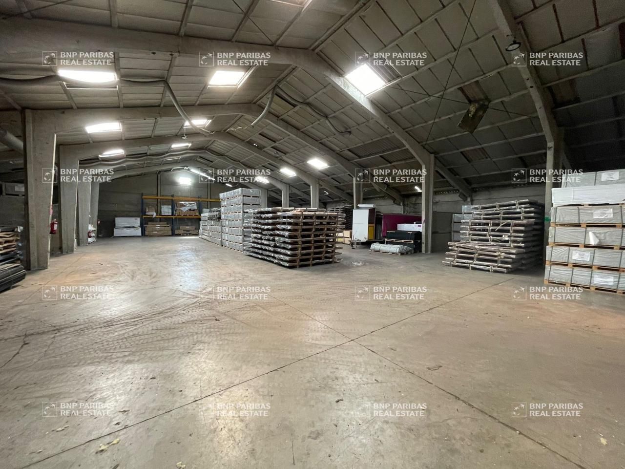 Vente Activité 4785 m² non divisibles 59480 Illies
