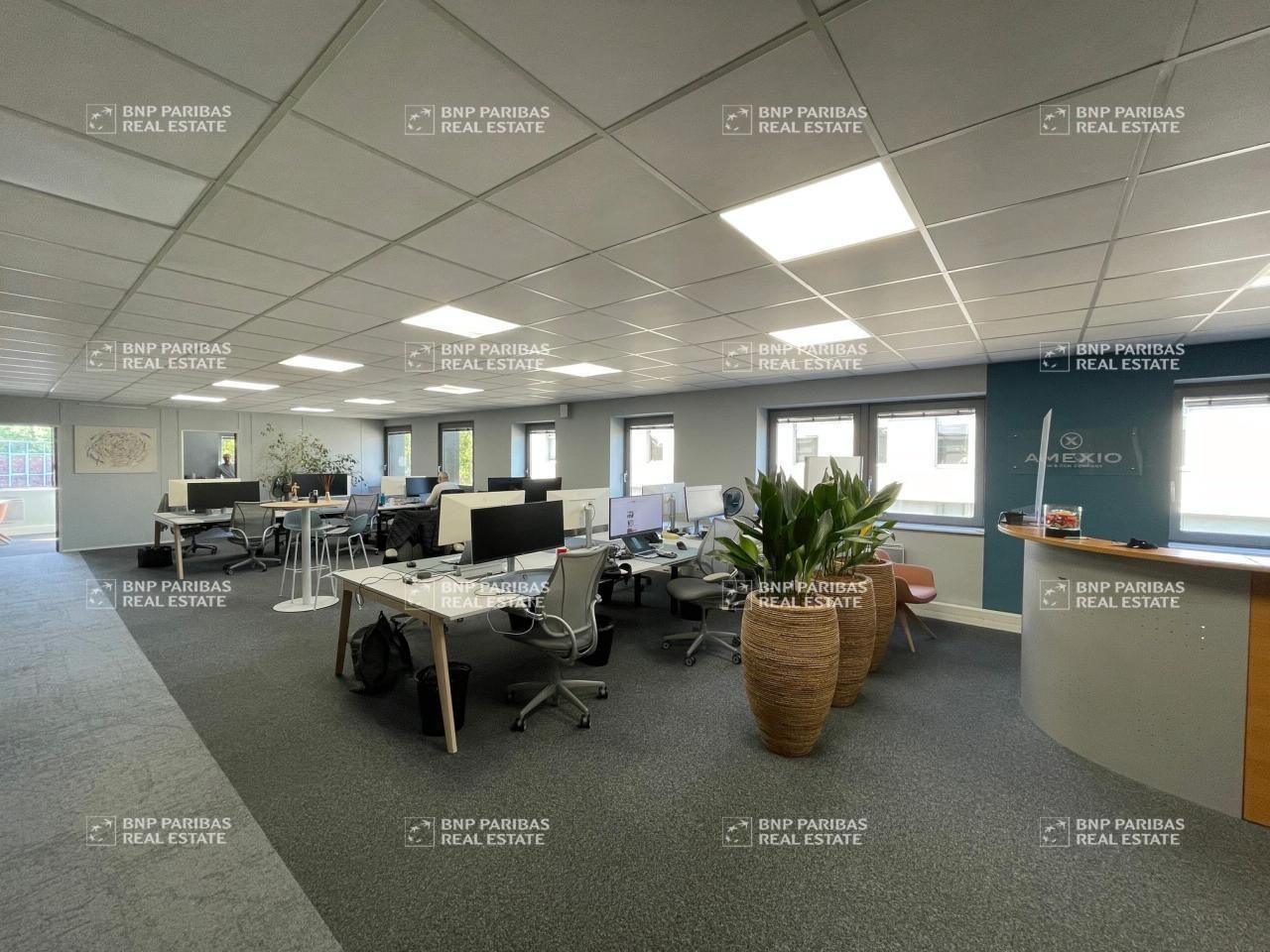 330 m² pour ce bureaux en location à Wasquehal