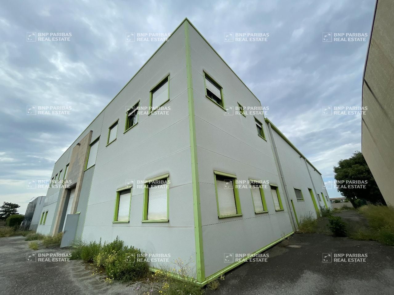 Location Activité 1620 m² non divisibles 34130 Mauguio