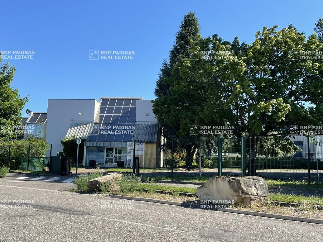 1156 m² pour ce bureaux en vente à Wissembourg