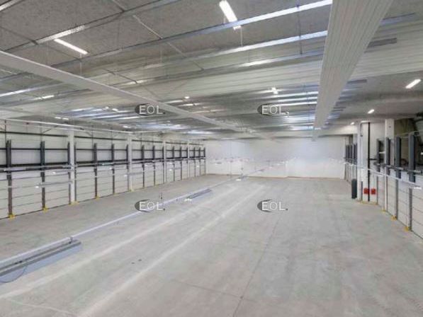 A louer - messagerie de 1 718 m²