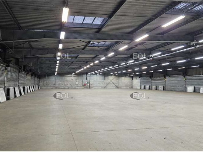 A LOUER - Messagerie de 7 050 m² à Collégien (77)