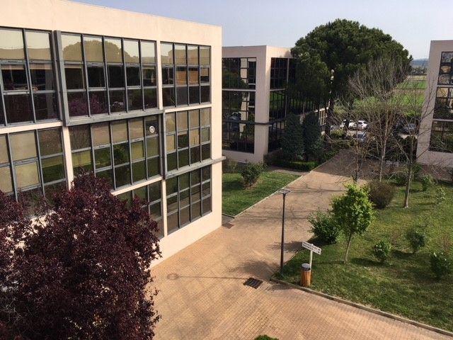 Dans un parc paysager de six immeubles à l'Espace