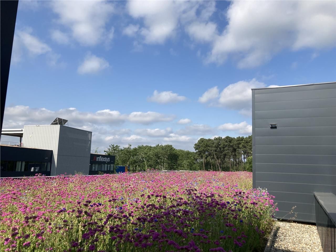 MERIGNAC - CBRE vous propose plusieurs plateaux d