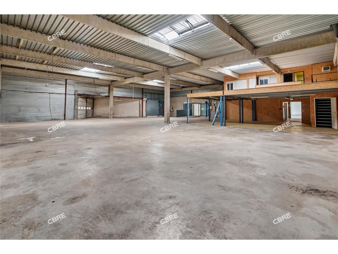 BELLE VISIBILITE : Bâtiment d'Activités avec Show