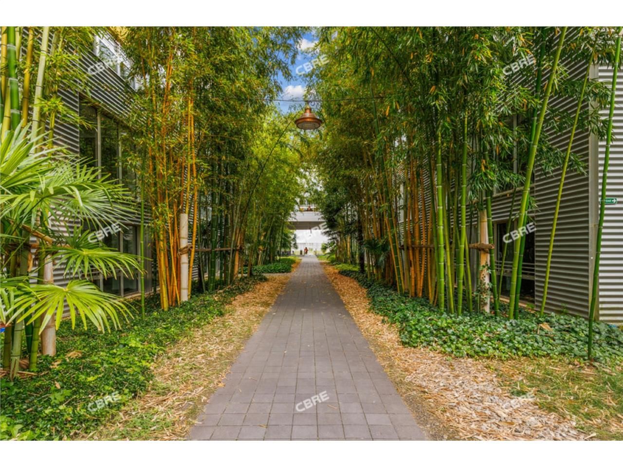 CBRE vous propose un plateau de 1 530 m² divisibl