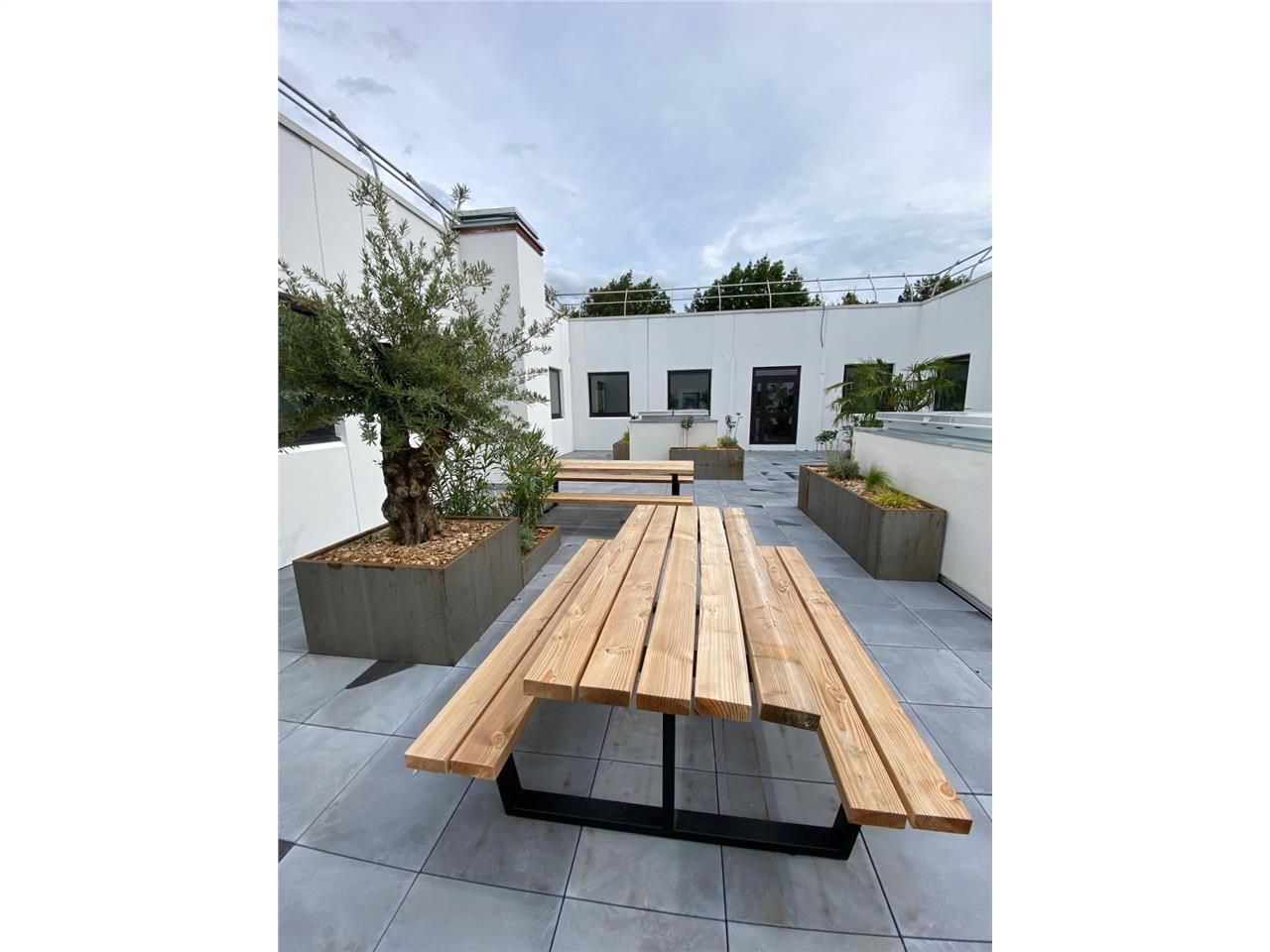 Parc mixte à la sortie de Dardilly le Tronchon en