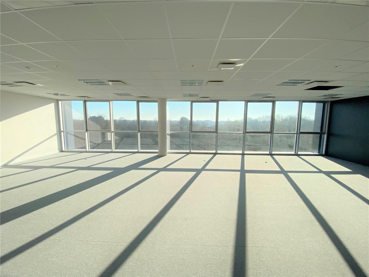 Au sein d'un campus qui regroupe la présence de g