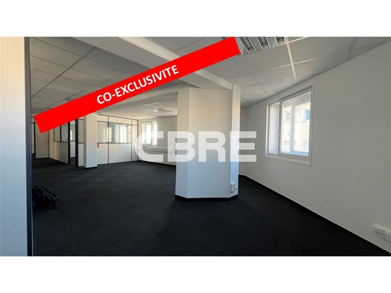 NICE OUEST (06200) - CBRE pour propose à la vente