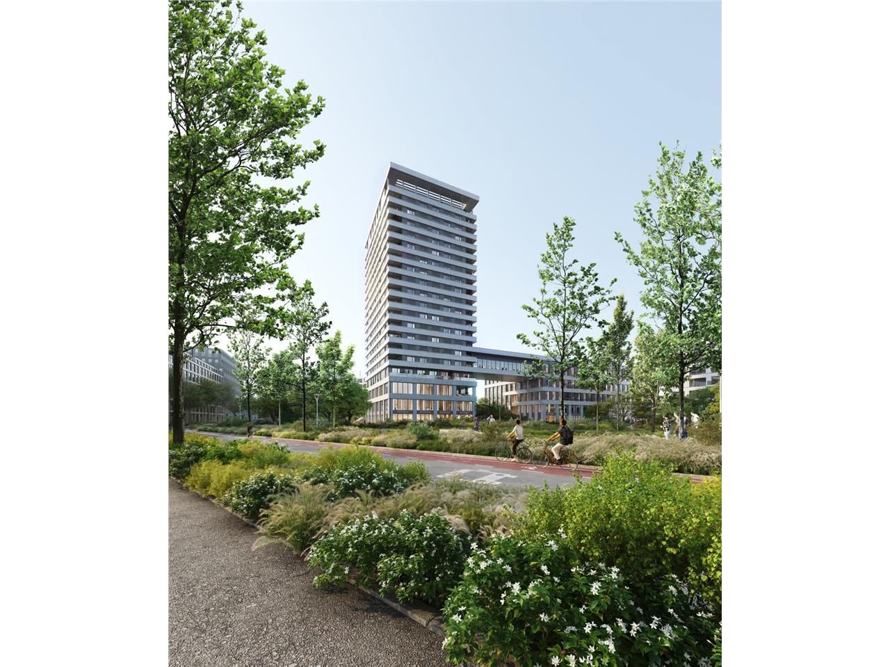 Bureaux neufs à vendre ou à louer dans un immeubl