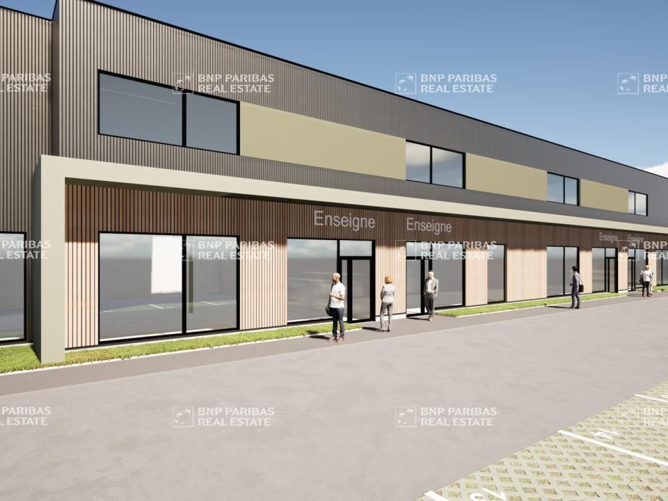 Vente Activité 2670 m² divisibles 67117 Ittenheim