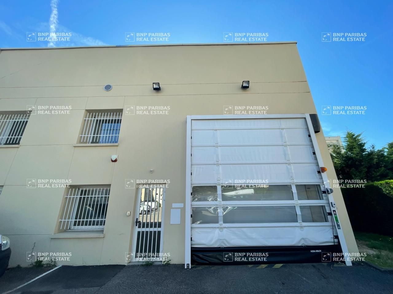 Location Activité 989 m² divisibles 69007 Lyon