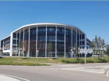 Location bureaux à Schiltigheim 67300