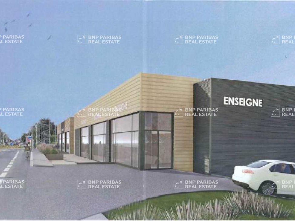 Location Activité 581.97 m² non divisibles 69400 Limas