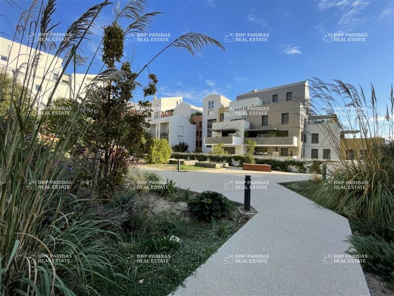 Vente bureaux à Montpellier 34000