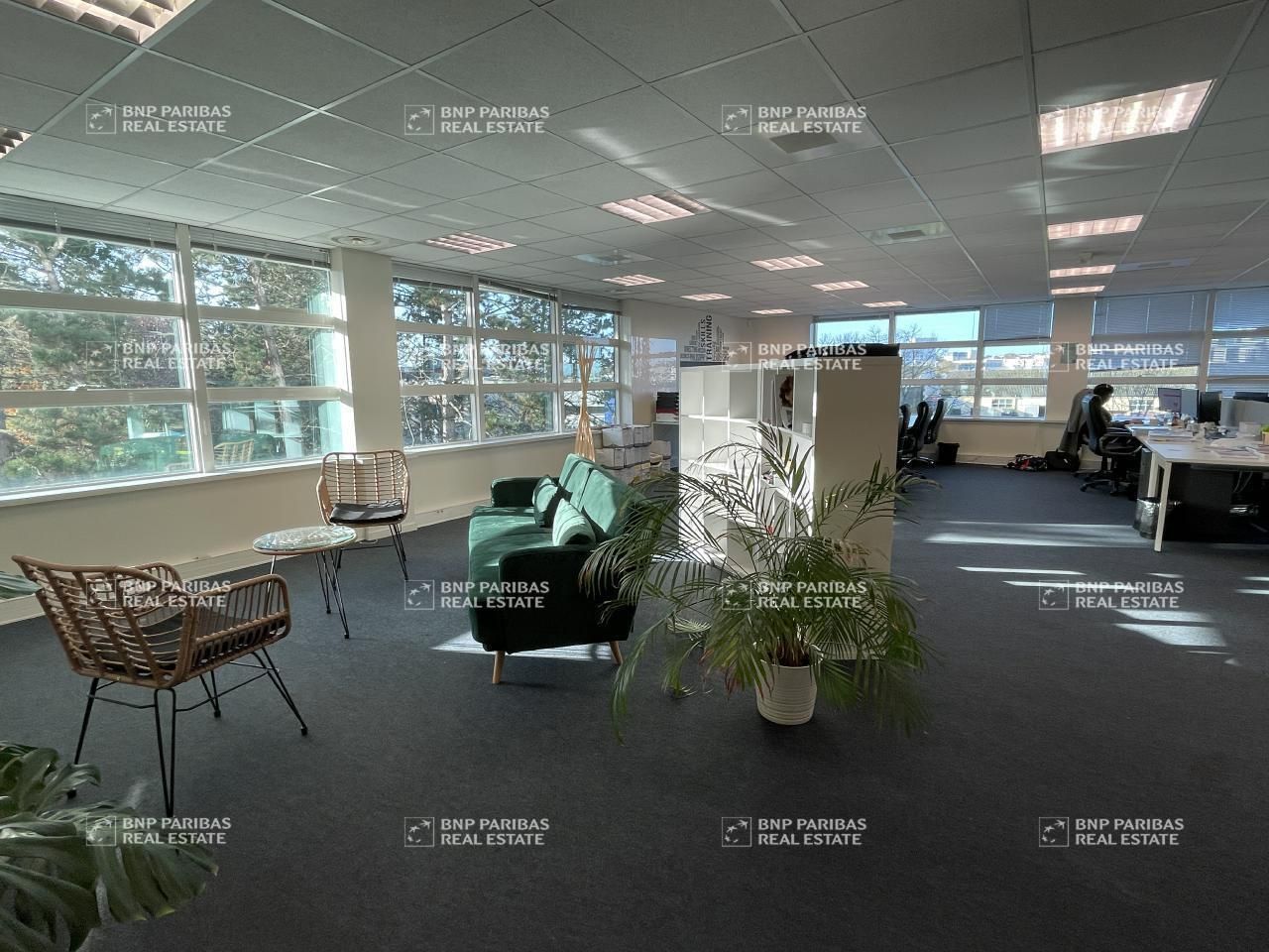 Location bureaux à Rennes 35000