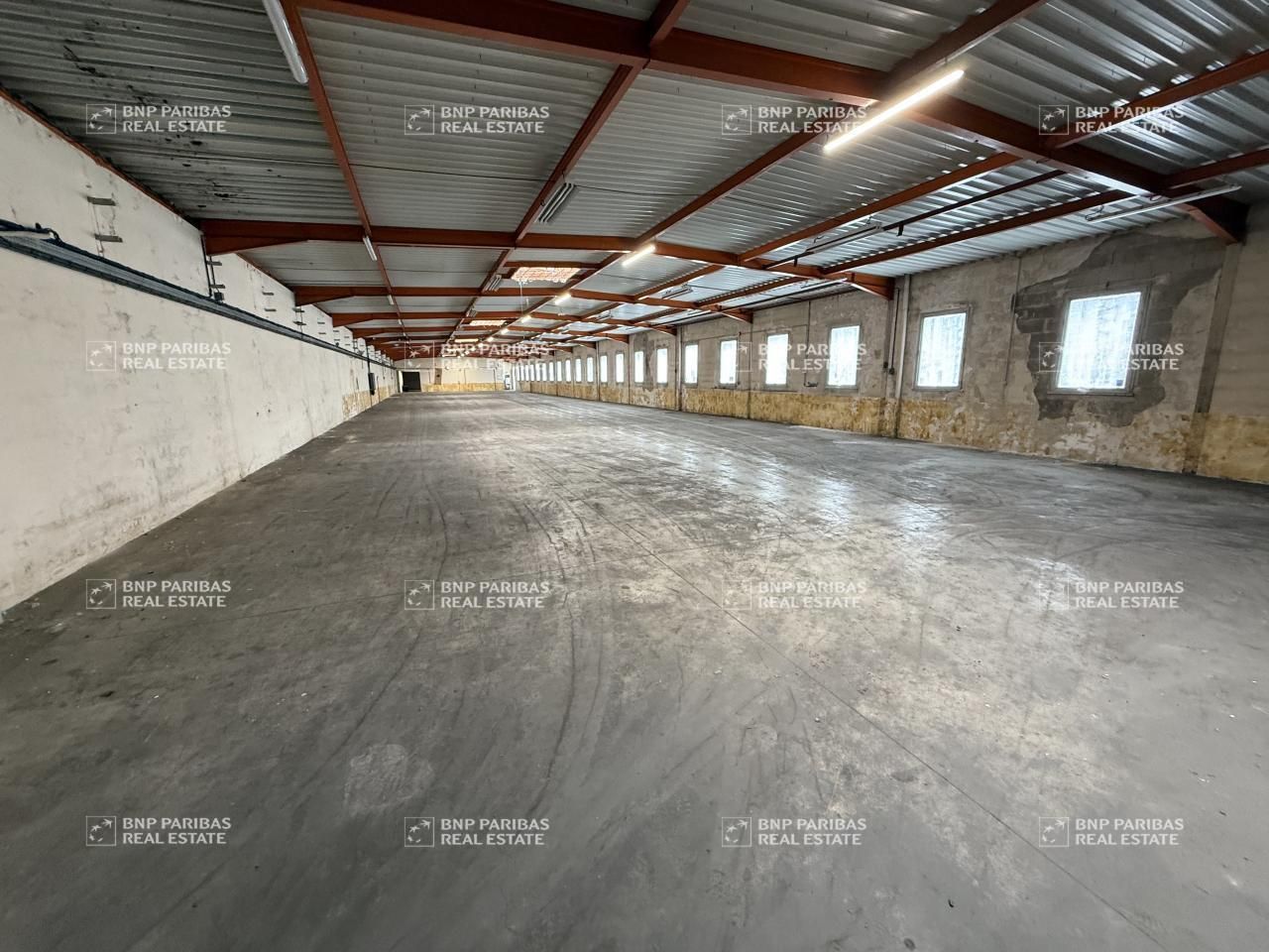 Vente Activité 4051.35 m² non divisibles 57970 Basse-ham
