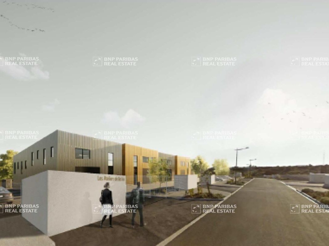 Vente Activité 1601.29 m² divisibles 34570 Vailhauquès