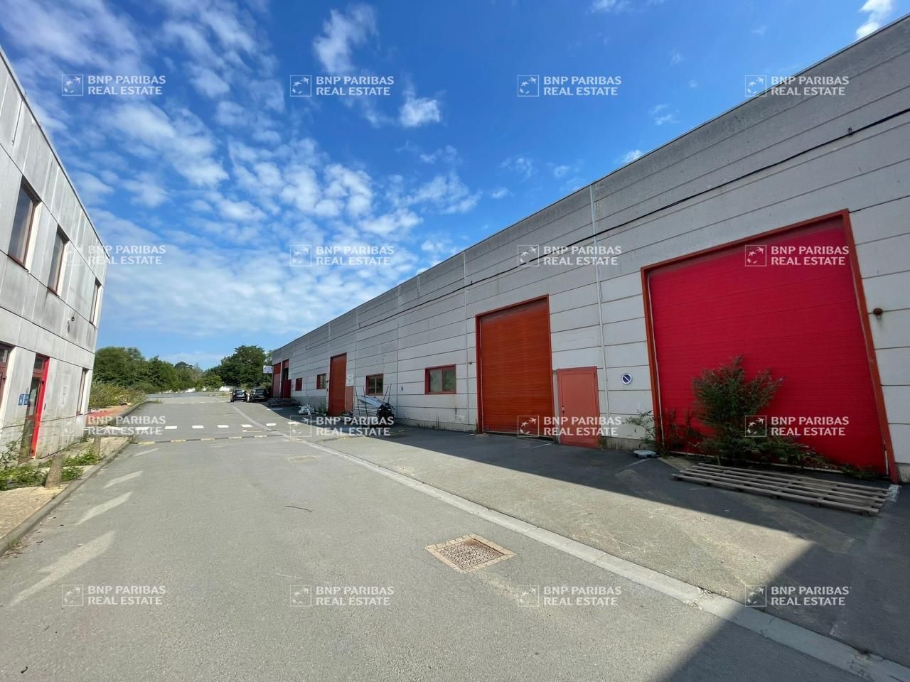 Location Activité 2078 m² divisibles 59170 Croix