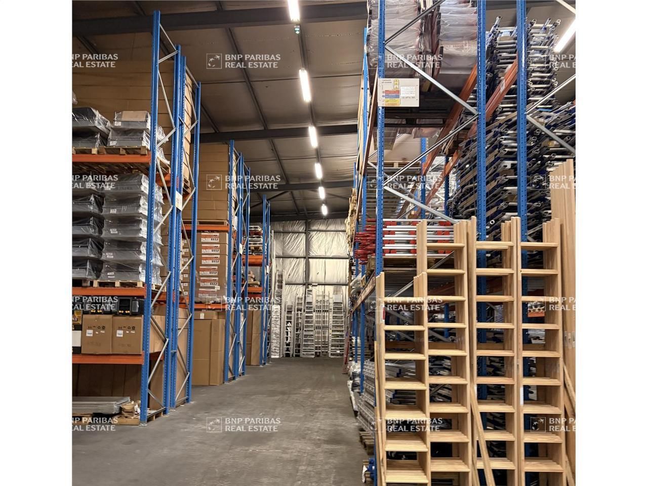 Vente Activité 3900 m² non divisibles 38460 Crémieu