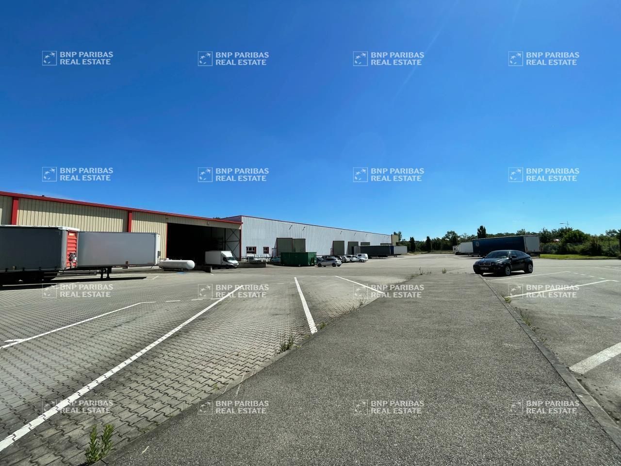 Location Activité 1650 m² non divisibles 67750 Scherwiller