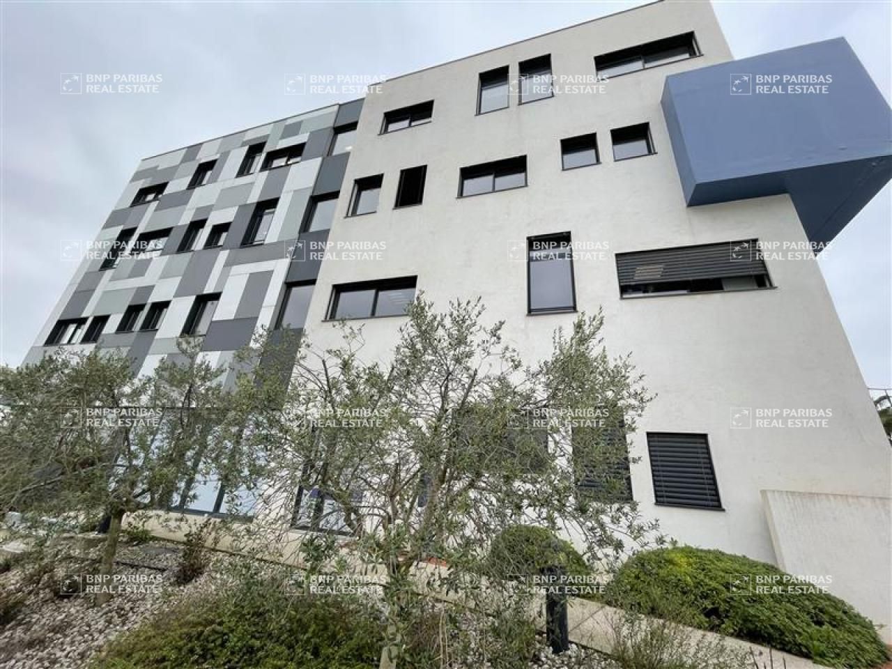 Location Bureaux 156 m² divisibles 34000 Montpellier