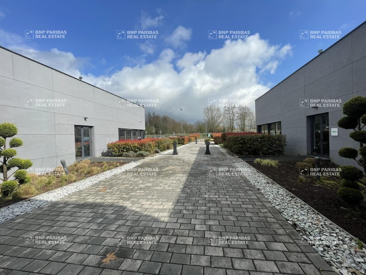 870.44 m² pour ce bureaux en location à Illkirch-graffenstaden