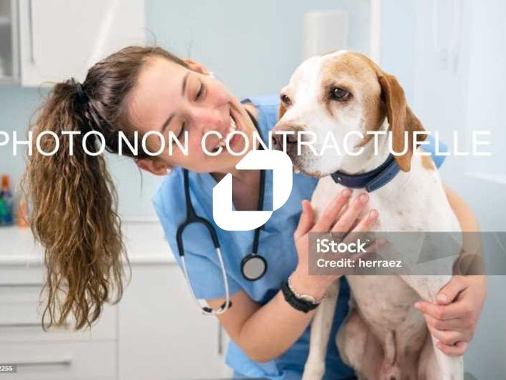 IMMPROVE vous présente en avant-première dans un