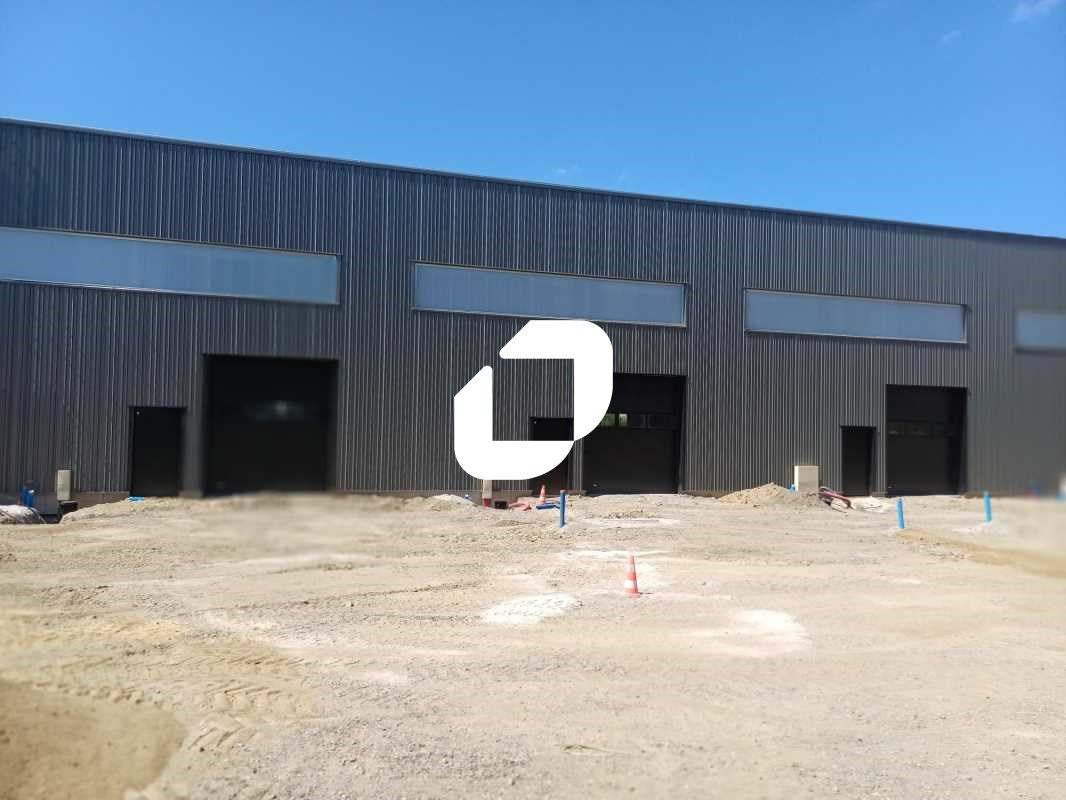 IMMPROVE vous propose à la vente des cellules d'a