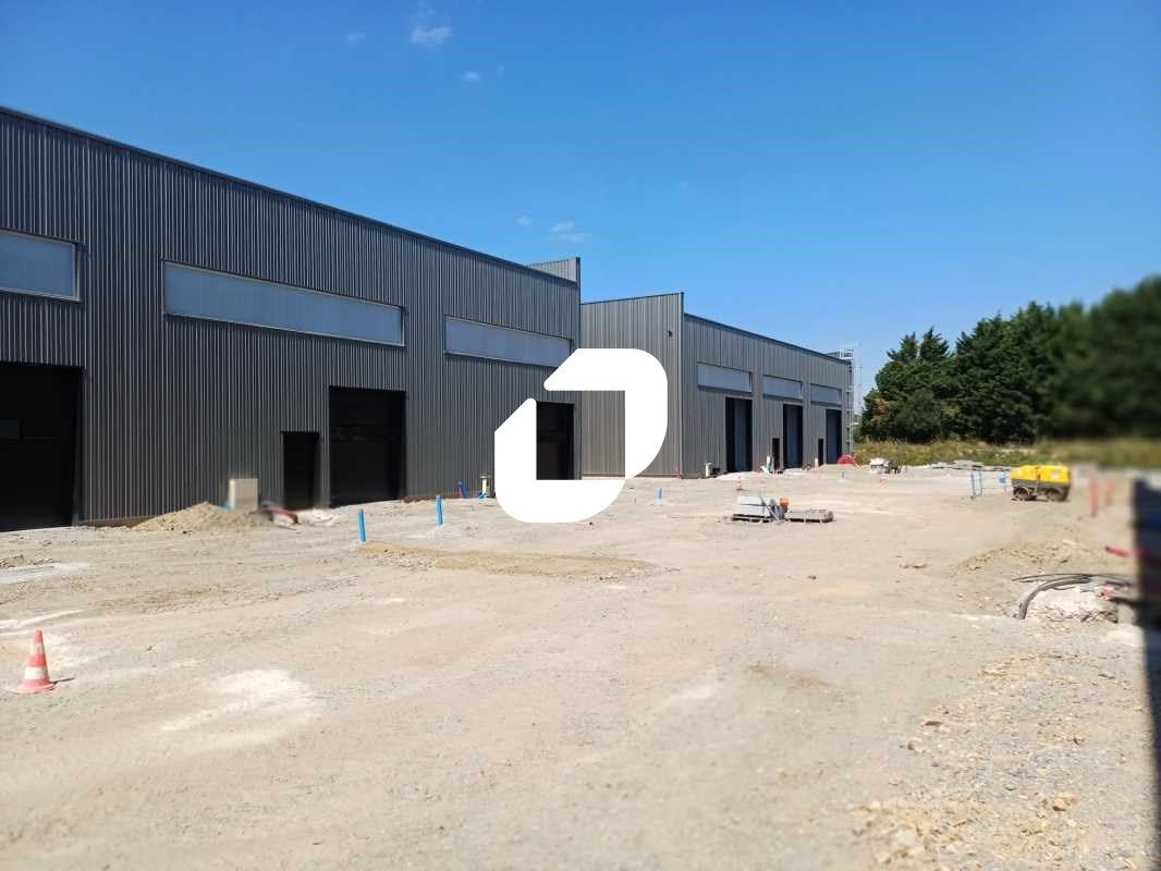 IMMPROVE vous propose à la vente des cellules d'a