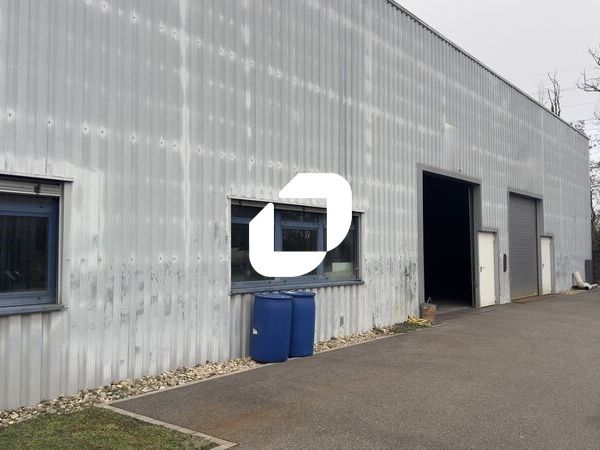 IMMPROVE propose à la location des locaux d'activ