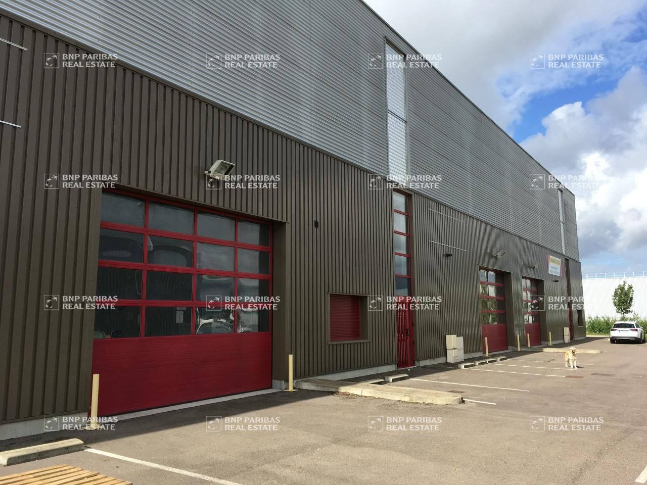 Location Activité 265 m² non divisibles 21200 Levernois
