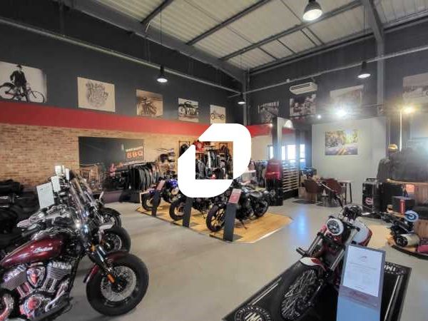 Sur un site polyvalent, Immprove vous propose un 